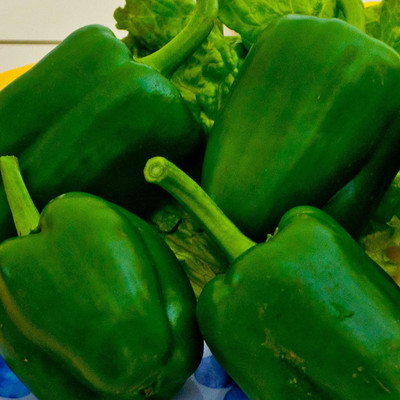 CYBEXIS NDIR-34 - Capsicum Green - (150 Seeds) Seed(150 per packet)