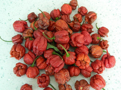 Biosnyg F1 Hybrid Worlds Hottest Carolina Reaper Chilli Seeds For Planting-(2000 Seeds) Seed(2000 per packet)
