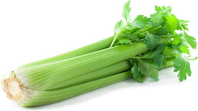 CYBEXIS ATS-50 - Golden Self-Blanching Celery - (250 Seeds) Seed(250 per packet)