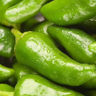 Biosnyg Heirloom Spanish Padron Pepper Seeds for Terrace Gardening-(4000 Seeds) Seed(4000 per packet)