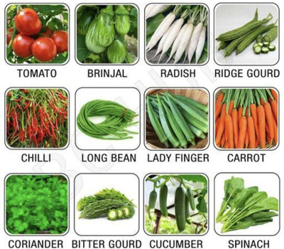 Plantzone all mixed vegetable seeds Seed(250 per packet)