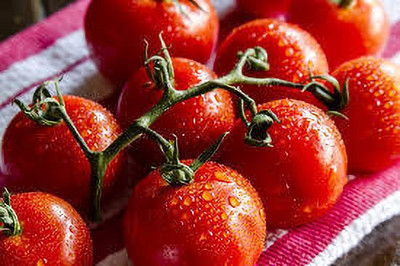 XOLDAA hybrid f1 quality tomato seeds Seed(25 per packet)