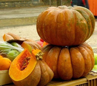 CRGO DIOART-AQW-™Musquee de Provence Pumpkin-100 SEEDS-PS946 Seed(100 per packet)