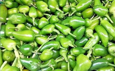 wequality Naga chilli seeds all season/chlli seed 86 Seed(86 per packet)