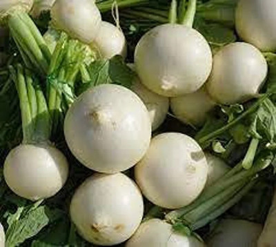 MYLAWN Turnip Egg white Seed(200 per packet)