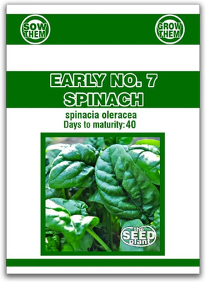Biosnyg Early No. 7 Spinach Seeds-400 Seeds/5g Seed(400 per packet)