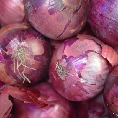 VibeX ® XLR-1185 Onion Red F1 Hybrid Seeds Seed(1000 per packet)
