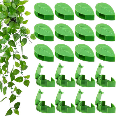 Gromax India Plant Support Clips & Wall Climbing Holders | Money Plant Clips, Plant Support Plant Straightener(Pack of 10)