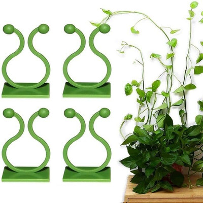 NEWSPARSH Jivan Plant Climbing Vine Plant Climbing Wall Fixer Self-Adhesive Hook Plant Straightener(Pack of 30)
