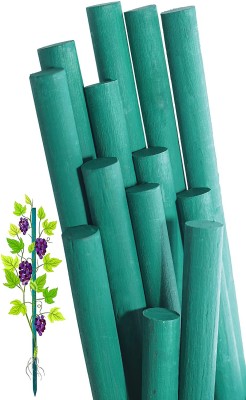 Bloomax Lengths- 2 ft, Pack of-30 pcs Garden Mulch(Green 0.9 kg)