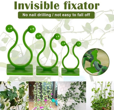 Hemanth eStore Plant Clips and Plant Straightener(Pack of 30)