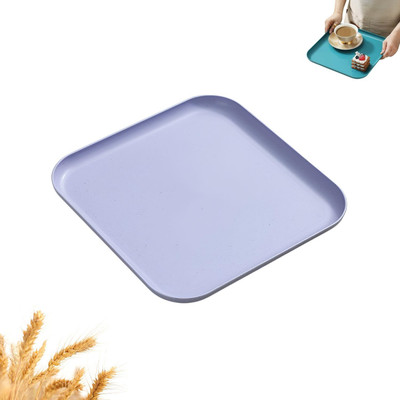 Takositio Square Dinner Plates Lightweight for Home,Camping,Picnic & Everyday Use Tray(Microwave Safe)