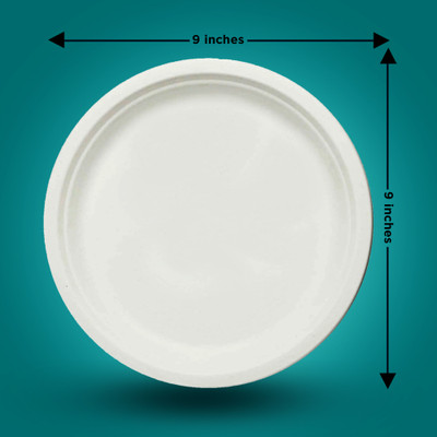 EZEE DISPOSABLES 9 INCH BAGASSE PLATES ROUND-NONCP Dinner Plate(Pack of 10, Microwave Safe)