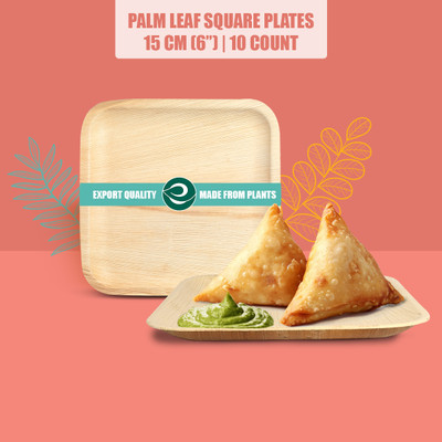 ECO SOUL Compostable Palm Leaf Plate - Square 6 inch, 10 count Half Plate(Pack of 10, Microwave Safe)