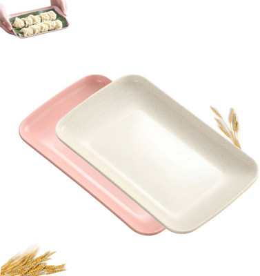 Divox Rectangular Salad Platters, Snack Plate, Wheat Straw Serving Plates for Parties Sizzler Tray(Pack of 2, Microwave Safe)
