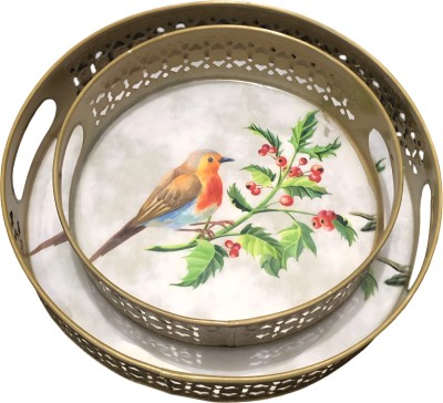 knight star Bird Painting Iron Serving Tray with Enamel Design|Iron Tray for Serving-Set of2 Tray(Pack of 2, Microwave Safe)