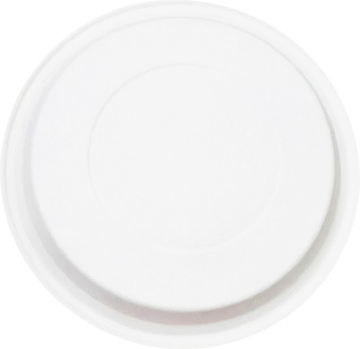 EZEE DISPOSABLES 11 INCH BAGASSE PLATES ROUND-NONCP Dinner Plate(Pack of 10, Microwave Safe)