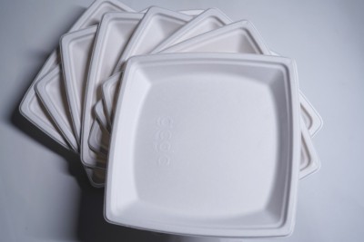 gcdc 8.5x8.5 Inch Mid Size Premium Biodegradable Bagasse Pack Of 100 Rice s Rice Plates(Pack of 100, Microwave Safe)