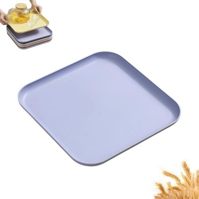 Vortipu Purple Straw Serving Platters, 11.5 Inch Rectangular Serving Plate Pack of 1 Tray