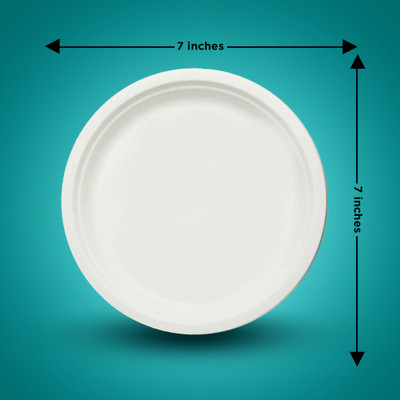 EZEE BAGASSE PLATES ROUND-NONCP Dinner Plate(Pack of 10, Microwave Safe)