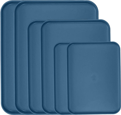 OICIA NEW1_Food s for Lunch, , Dessert Dish, Camping s Tray(Pack of 6, Microwave Safe)