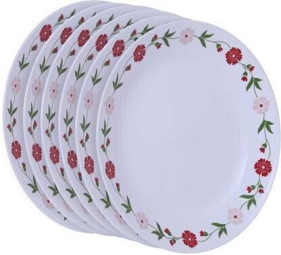 CARNIVAL SQ-6 Dinner Plate(Pack of 6)