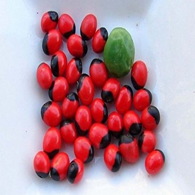 PMW Guri Beads - Red Beads - Rosarypea - Latumoni - Gumchi - 11 Seeds Wooden(1 Pieces, Red)