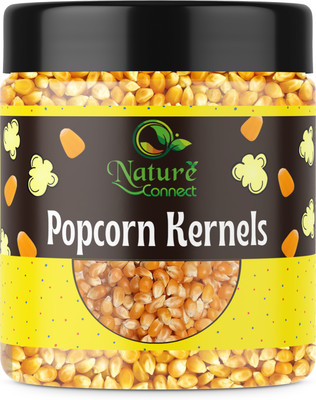NATURE CONNECT Popcorn Kernel Seeds | Unpopped Corn Raw Popcorn Kernels| Jar Pack Popcorn Popcorn(300 g)