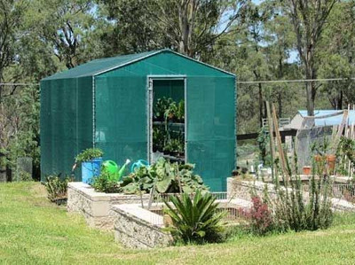 GS Home GREEN NET 10X5 FEET Portable Green House(Green)