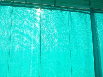perfecthome GREEN NET 12X10 FEET Portable Green House(Green)
