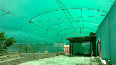 GS Home GREEN NET 15X12 FEET Portable Green House(Green)