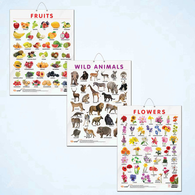 FRUITS CHART GLOSS LAMINATED, FLOWERS CHART GLOSS LAMINATED, and WILD ANIMALS CHART GLOSS LAMINATED | combo of 3 charts |Kids' Vibrant Educational Trio Paper Print(20 inch X 15 inch)