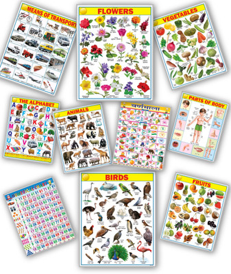 English & Hindi Educational Chart for Kids | 45×60cm | ABC'D Chart | Combo of 10 Charts | laimination paper chart | Non-Tearable and Waterproof | Perfect for Homeschooling, Kindergarten and Nursery Student Fine Art Print(18 inch X 23 inch, 10 chart)