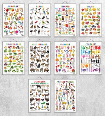 Alphabet, Birds, Shapes, Fruits, Vegetables, Wild Animals, Flowers, Colours, Domestic Animals and Pets and Action Words| 10 combos of hard laminated charts| Discover the Vibrant World: Alphabet, Birds, Shapes, Fruits, Wild Animals, Flowers, Colours, Pets & More! Paper Print(30 inch X 20 inch)