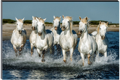saf 45.72 cm 7 Running horses Vastu UV textured self adeshive modern art MDF painting sticker Self Adhesive Sticker(Pack of 1)