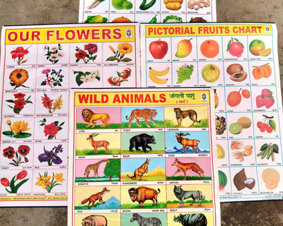 “4-in-1 Educational Wall Chart Combo – Wild Animals, Vegetables, Flowers, Fruits” Photographic Paper(22 inch X 18 inch, Rolled)