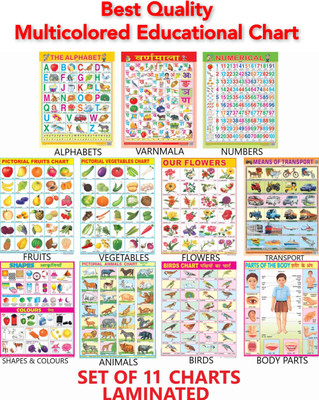 Educational Learning Charts set for Kids | 45cm×60cm (Extra Large Size to attract Kids) | Combo of 11 Charts | Non-Tearable and Waterproof | Perfect for Homeschooling, Kindergarten and Nursery Student Fine Art Print(23 inch X 18 inch, 11 chart with box packging)
