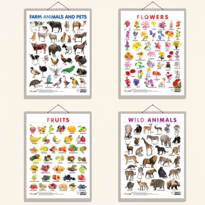FRUITS CHART HARD LAMINATED, FLOWERS CHART HARD LAMINATED, FARM ANIMALS AND PETS CHART HARD LAMINATED, and WILD ANIMALS CHART HARD LAMINATED | combo of 4 charts | Durable Charts for Nature Exploration Paper Print(20 inch X 15 inch)