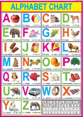 English Alphabet Chart For Kids Photographic Paper(30 inch X 40 inch)