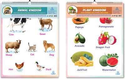 PICTURE CALENDAR -PLANT KINGDOM & ANIMAL KINGDOM Paper Print(22.2 inch X 17.7 inch)