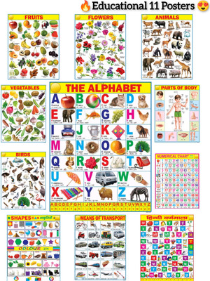 All in One Educational Charts for Kids with Colourful Pictures for Children Fine Art Print(23 inch X 18 inch, 11 chart with box packging)