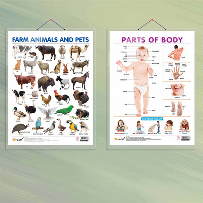FARM ANIMALS AND PETS CHART HARD LAMINATED and PARTS OF BODY CHART HARD LAMINATED | combo of 2 charts | Farm Animal Features and Body Basics Paper Print(20 inch X 15 inch)
