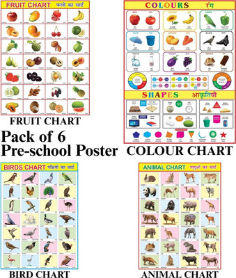 Combo of 4 Chart Fruits, Animal, Birds, Coloures Chart For Kids | 20x30Inch (51x76cm)| Laminated chart | Waterproof and Non tearable Wall Chart. Paper Print(30 inch X 20 inch, Rolled)
