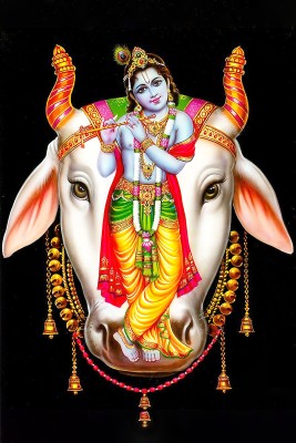 hindu religious Kamdhenu Cow with krishna vinyl sticker poster II (60cm x 45cm) (unframed) II jican5058-1 Fine Art Print(24 inch X 18 inch)