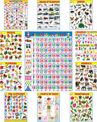 Educational Early Learning Multicolour Poster Charts Set for Kids | 45X60 cm | Set of 11 | Non-Tearable and Waterproof | Language English & Hindi | Perfect for Homeschooling, Kindergarten and Nursery Students Fine Art Print(18 inch X 23 inch, 11 Chart)