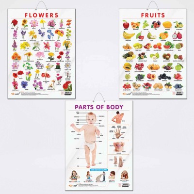 FRUITS CHART GLOSS LAMINATED, FLOWERS CHART GLOSS LAMINATED, and PARTS OF BODY CHART GLOSS LAMINATED | combo of 3 charts |Colorful Trio Enhancing Kids' Learning Adventures Paper Print(20 inch X 15 inch)