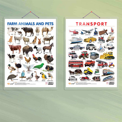 FARM ANIMALS AND PETS CHART HARD LAMINATED and TRANSPORT CHART HARD LAMINATED | combo of 2 charts | Pet-Transport Learning Ensemble Paper Print(20 inch X 15 inch)