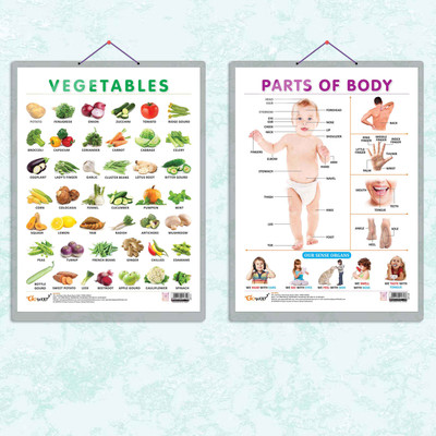 PARTS OF BODY CHART HARD LAMINATED and VEGETABLE CHART HARD LAMINATED | combo of 2 charts | Body and Veggie Exploration Duo Paper Print(20 inch X 15 inch)