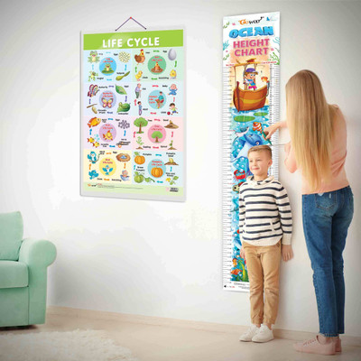 Life Cycle Chart and OCEAN HEIGHT CHART | Set of 2 charts 1 Educational + 1 Height Chart | Interactive Set for Exploring Life Cycles Chart and Ocean Height Chart Paper Print(30 inch X 20 inch)