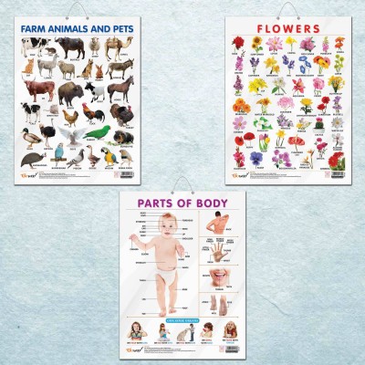 FLOWERS CHART GLOSS LAMINATED, FARM ANIMALS AND PETS CHART GLOSS LAMINATED, and PARTS OF BODY CHART GLOSS LAMINATED | combo of 3 charts |Blossoms and Creatures: Exploring Nature and the Human Form Paper Print(20 inch X 15 inch)
